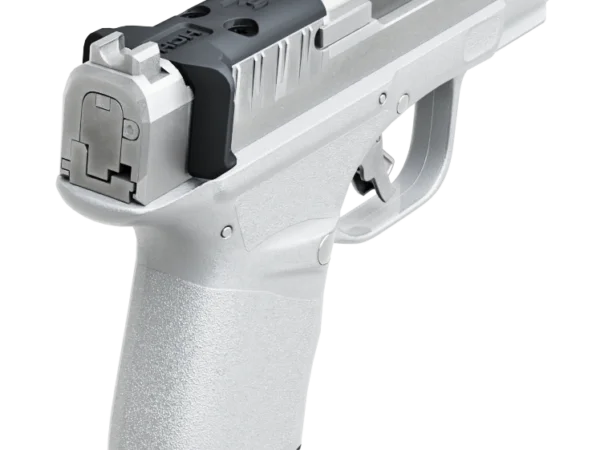 A silver semi-automatic handgun viewed from the rear, showing the grip and slide.